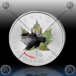 1oz KANADA $5 Maple Leaf 2014 "LOS"